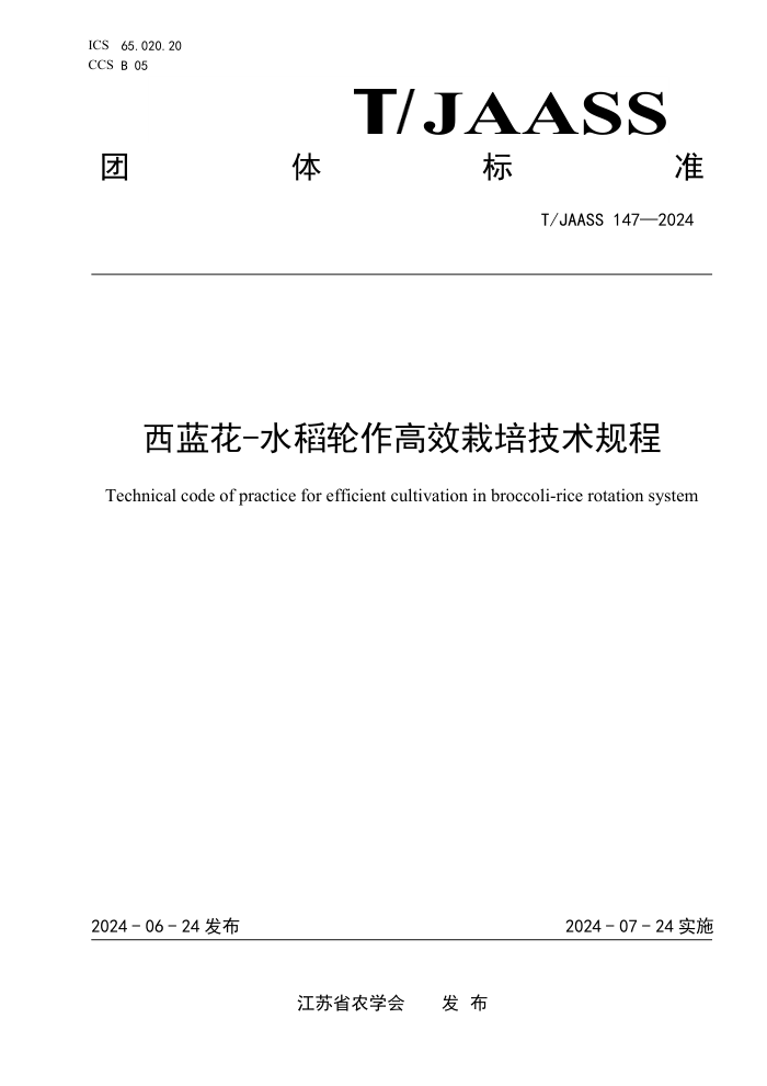 T/JAASS 147-2024 西蓝花-水稻轮作高效栽培技术规程