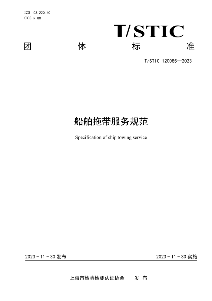 T/STIC 120085-2023 ϴ淶