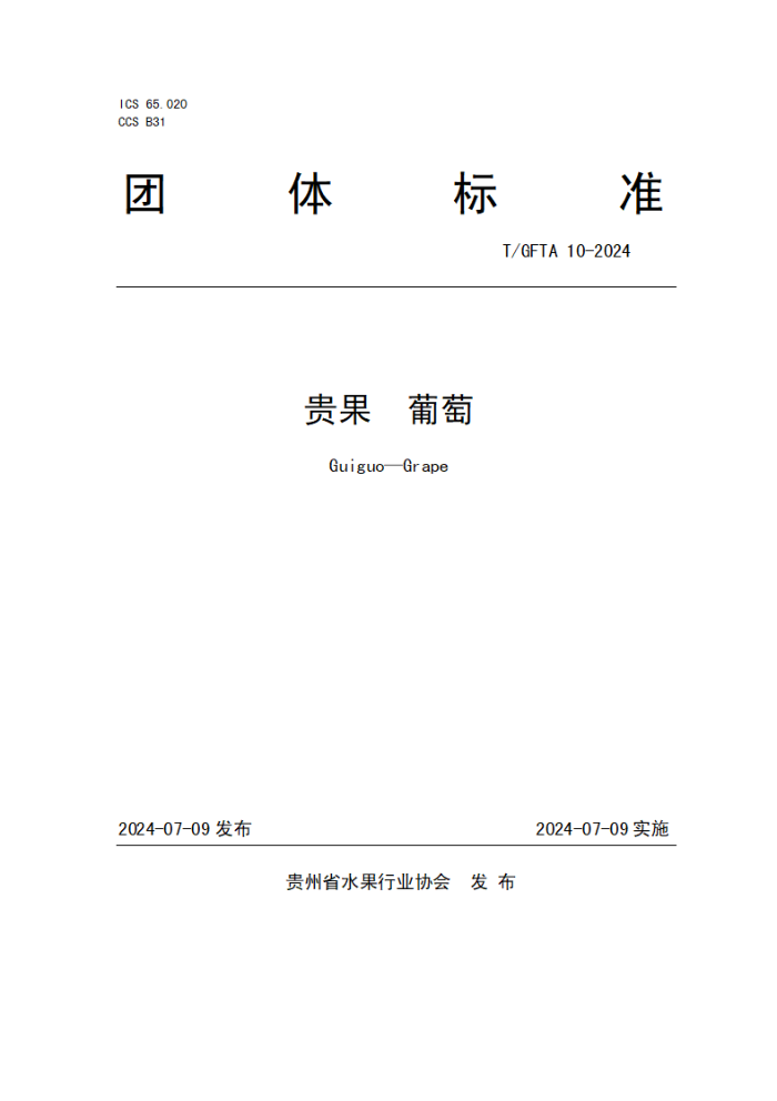 T/GFTA 10-2024  