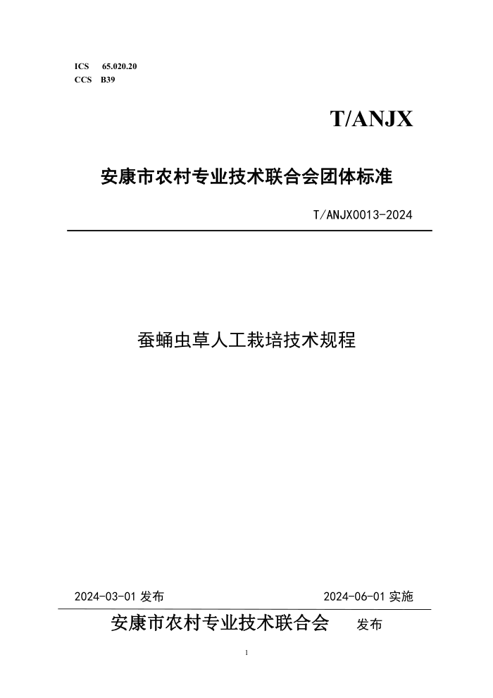 T/ANJX 0013-2024 Ӽ˹༼