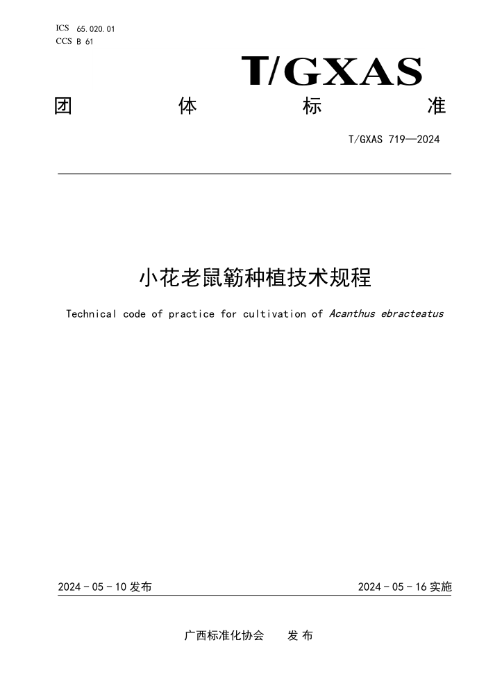 T/GXAS 719-2024 小花老鼠簕种植技术规程