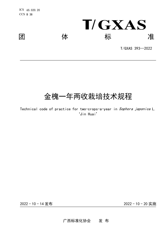 T/GXAS 393-2022 金槐一年两收栽培技术规程