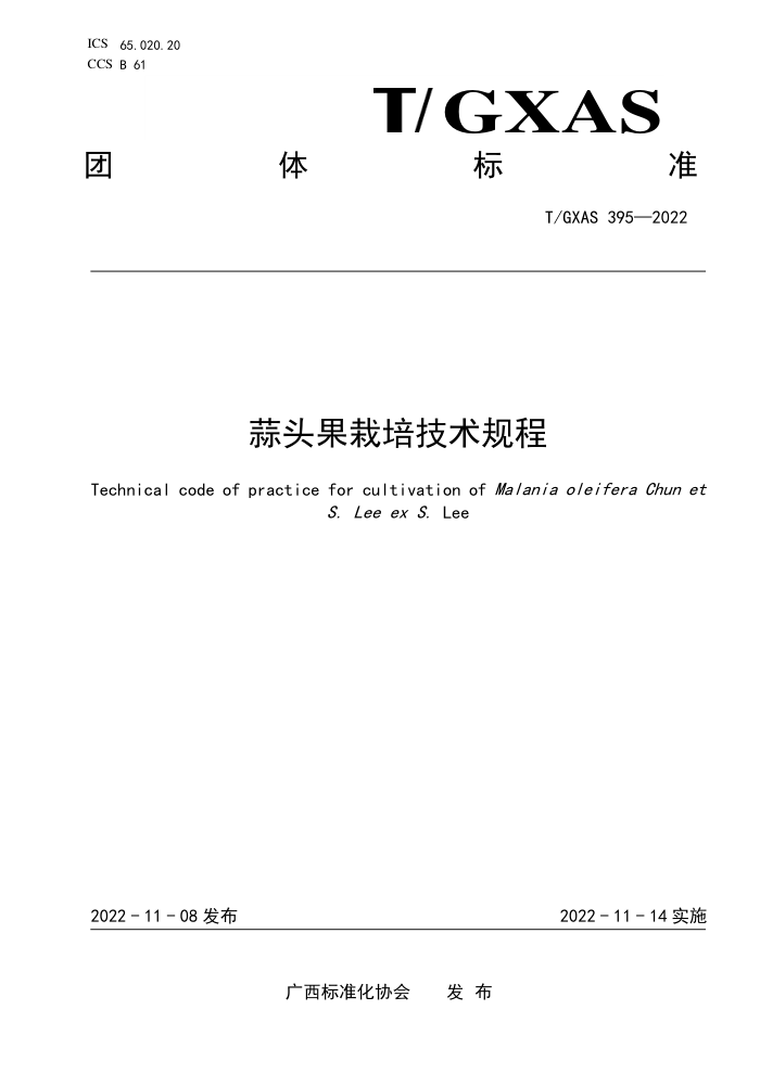 T/GXAS 395-2022 蒜头果栽培技术规程
