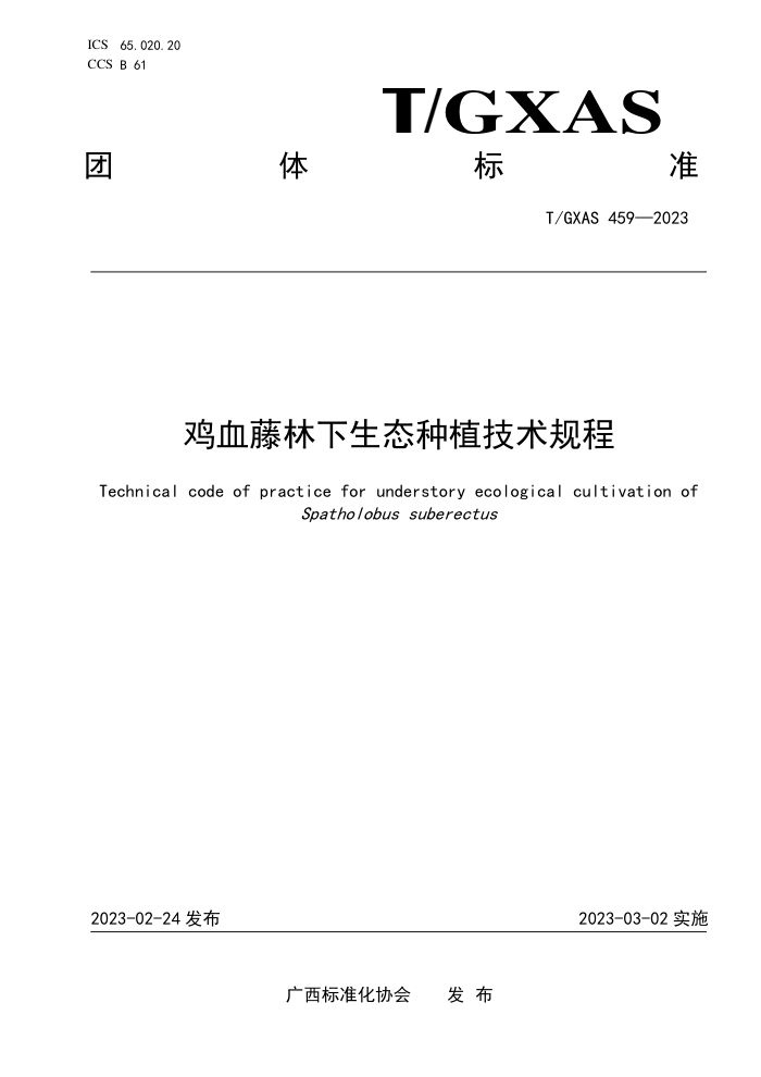 T/GXAS 459-2023 鸡血藤林下生态种植技术规程