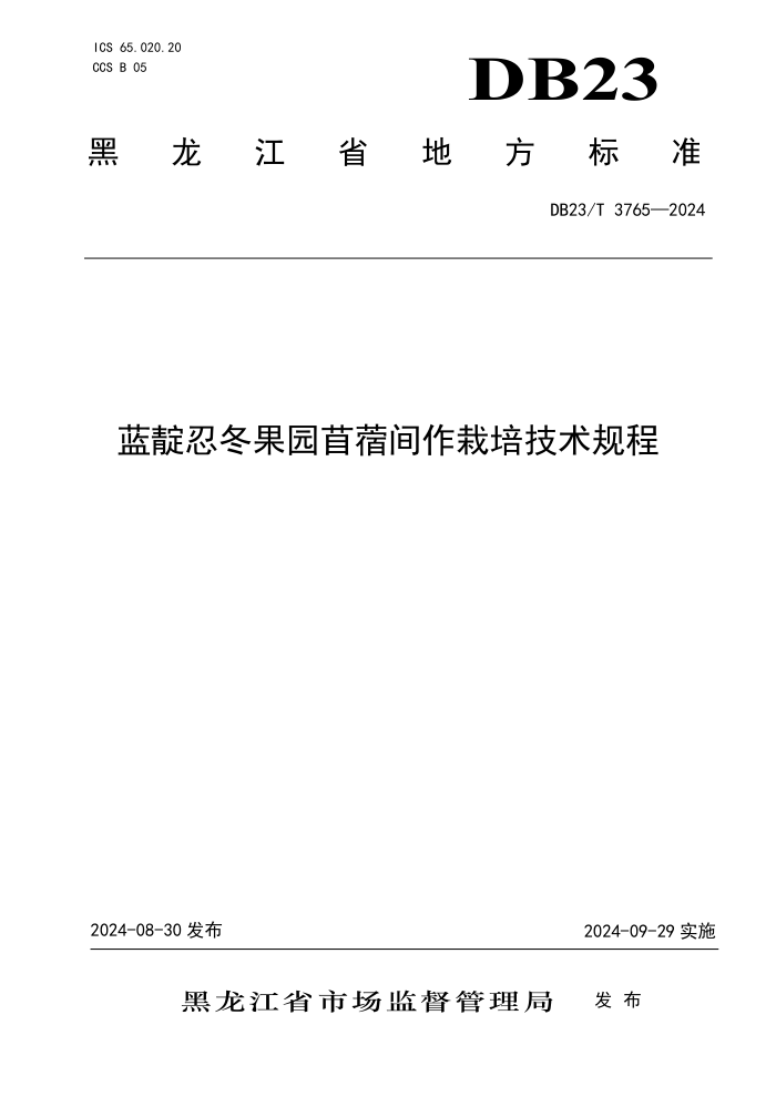 DB23/T 3765-2024 蓝靛忍冬果园苜蓿间作栽培技术规程