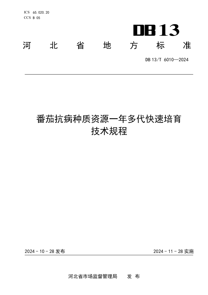 DB13/T 6010-2024 番茄抗病种质资源一年多代快速培育技术规程