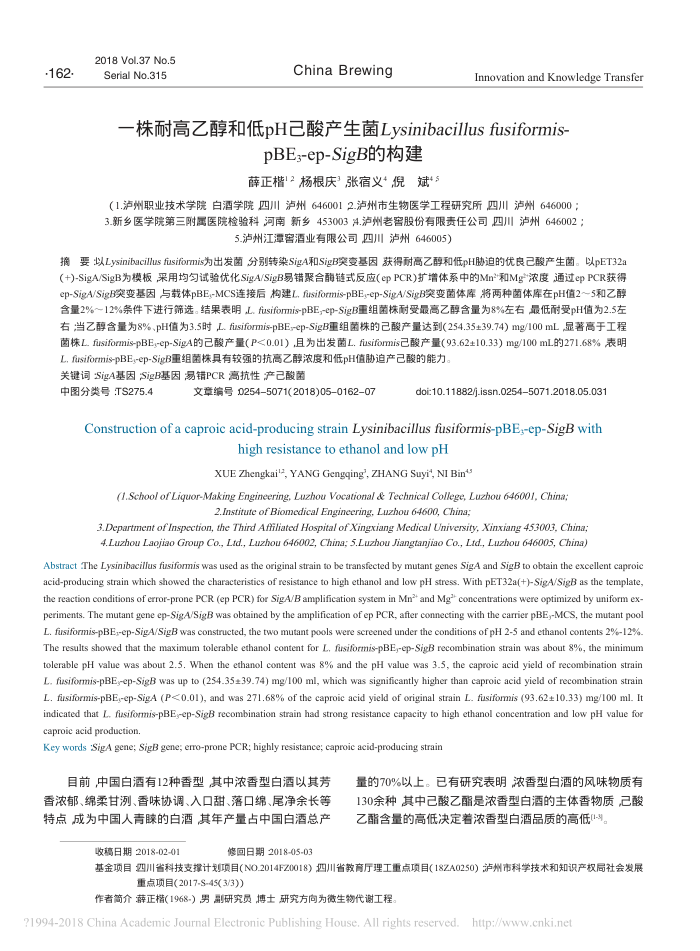 一株耐高乙醇和低pH己酸产生菌Lysinibacillus fusiformis-pBE 3-ep-SigB的构建
