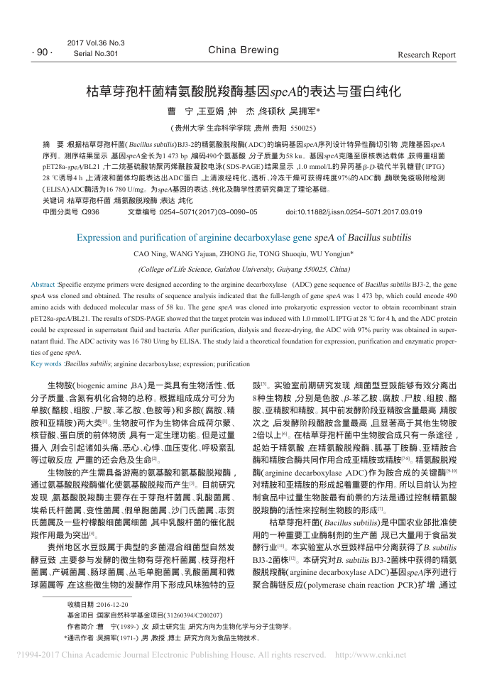 枯草芽孢杆菌精氨酸脱羧酶基因speA的表达与蛋白纯化