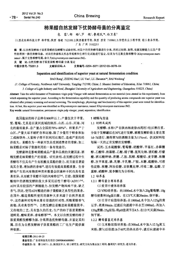 柿果醋自然发酵下优势酵母菌的分离鉴定