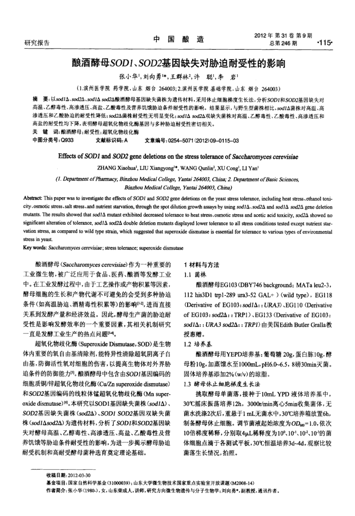 酿酒酵母SOD1、SOD2基因缺失对胁迫耐受性的影响