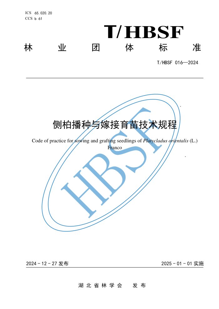 T/HBSF 016-2024 ز޽缼