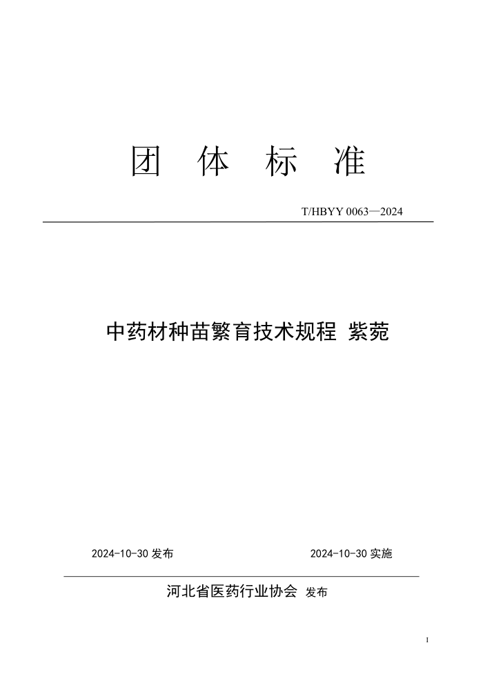 T/HBYY 0063-2024 ҩ緱 