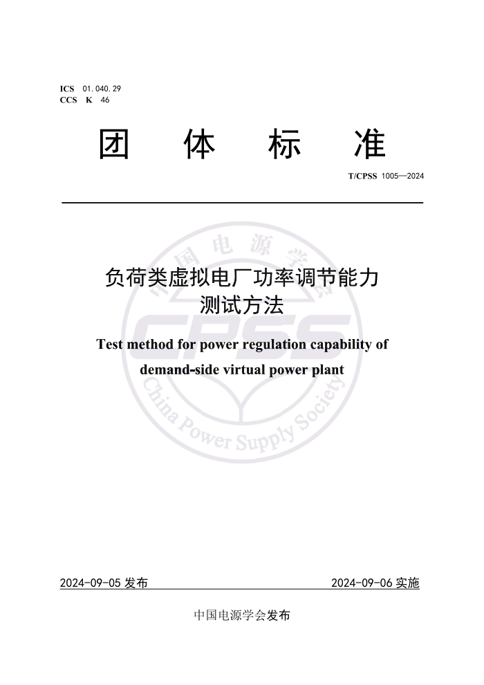 T/CPSS 1005-2024 糧ʵԷ