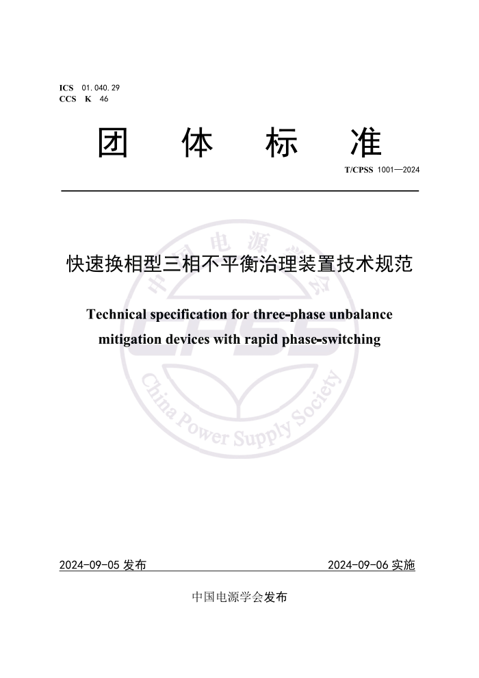 T/CPSS 1001-2024 ٻ಻ƽװü淶