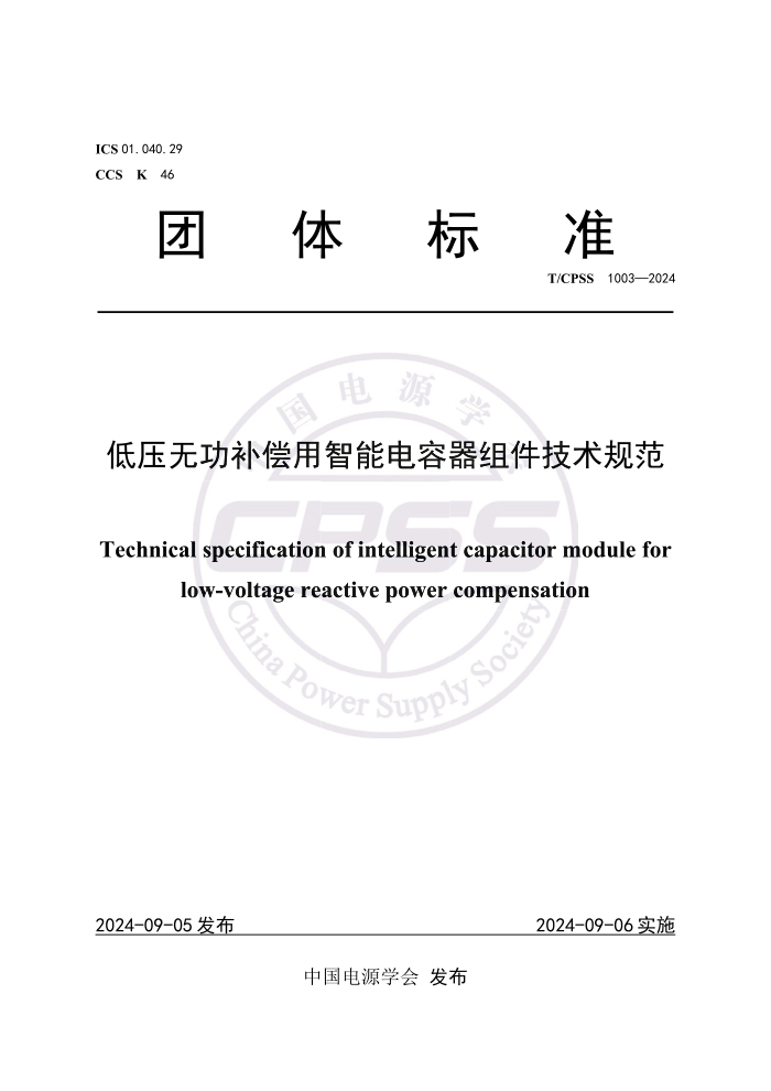 T/CPSS 1003-2024 ѹ޹ܵ淶