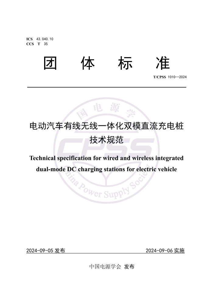 T/CPSS 1010-2024 綯һ廯˫ģֱ׮淶