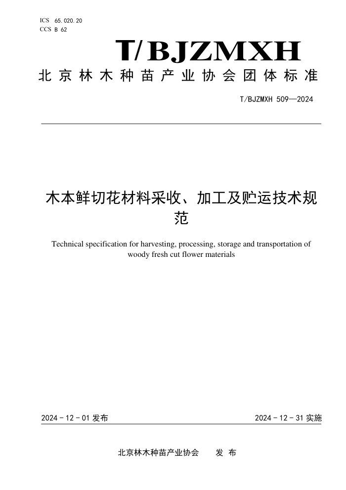 T/BJZMXH 509-2024 ľлϲաӹ˼淶