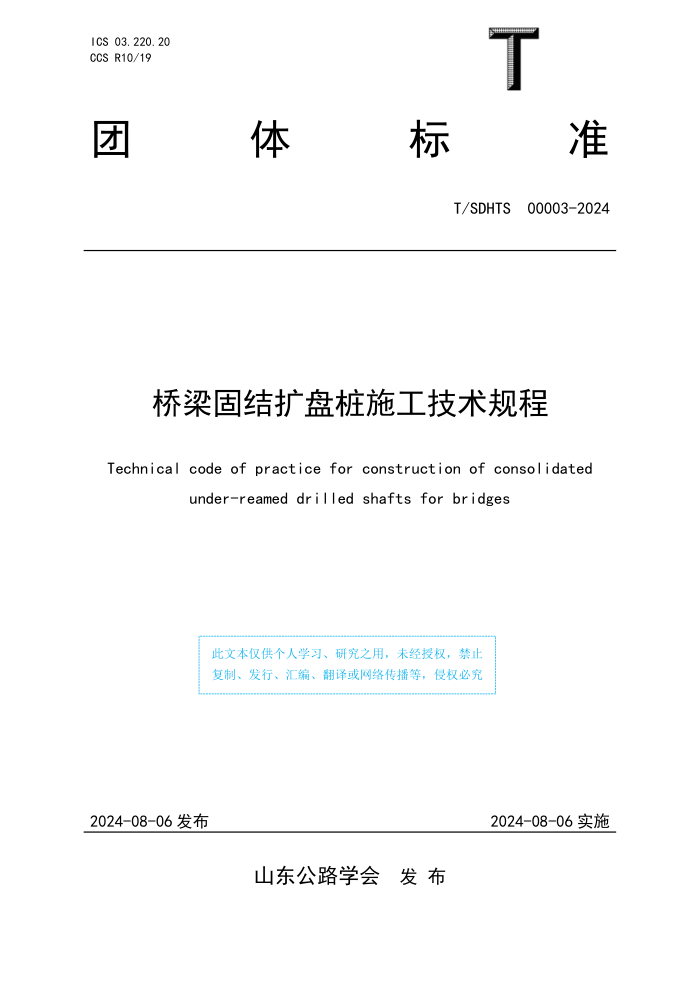 T/SDHTS 00003-2024 ̽׮ʩ
