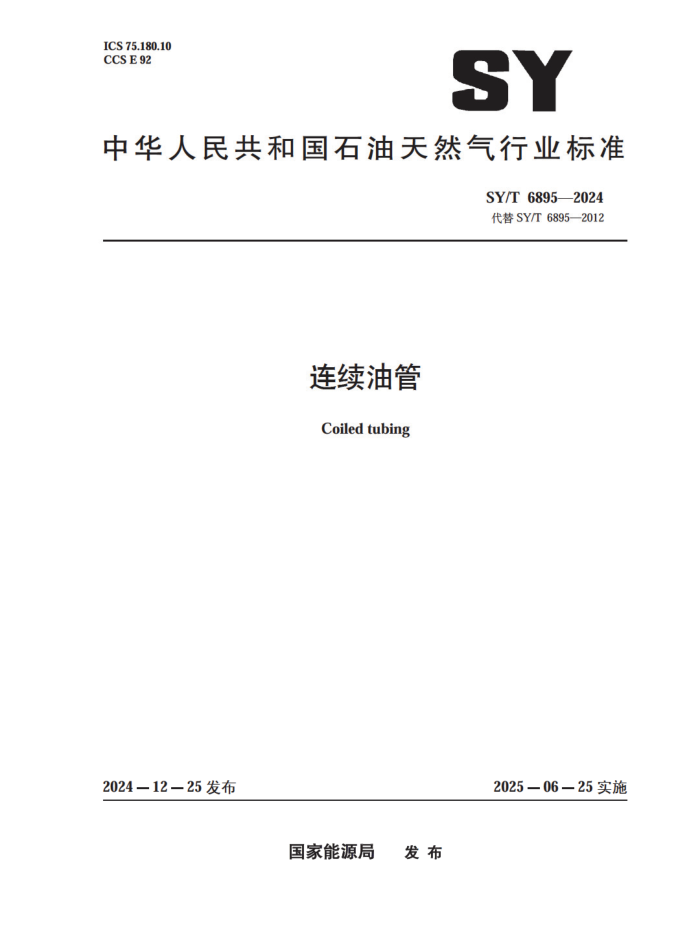 SY/T 6895-2024 ͹