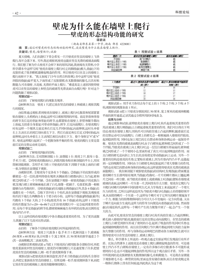 壁虎为什么能在墙壁上爬行--壁虎的形态结构功能的研究
