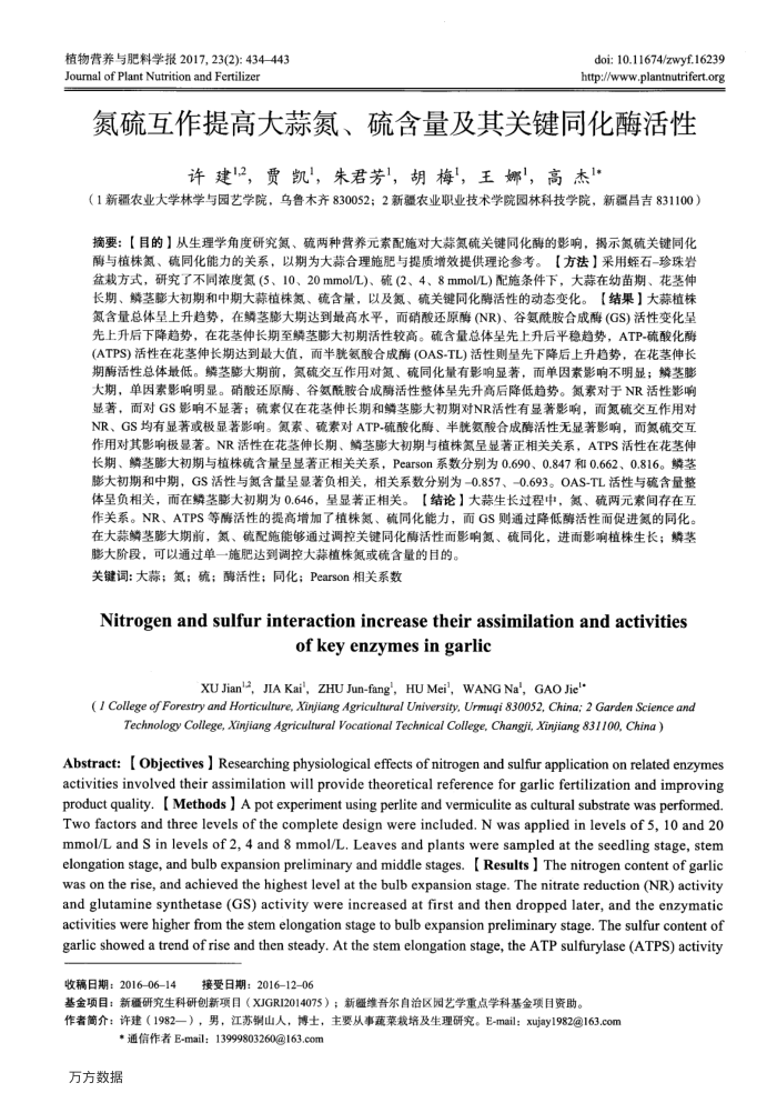 氮硫互作提高大蒜氮、硫含量及其关键同化酶活性