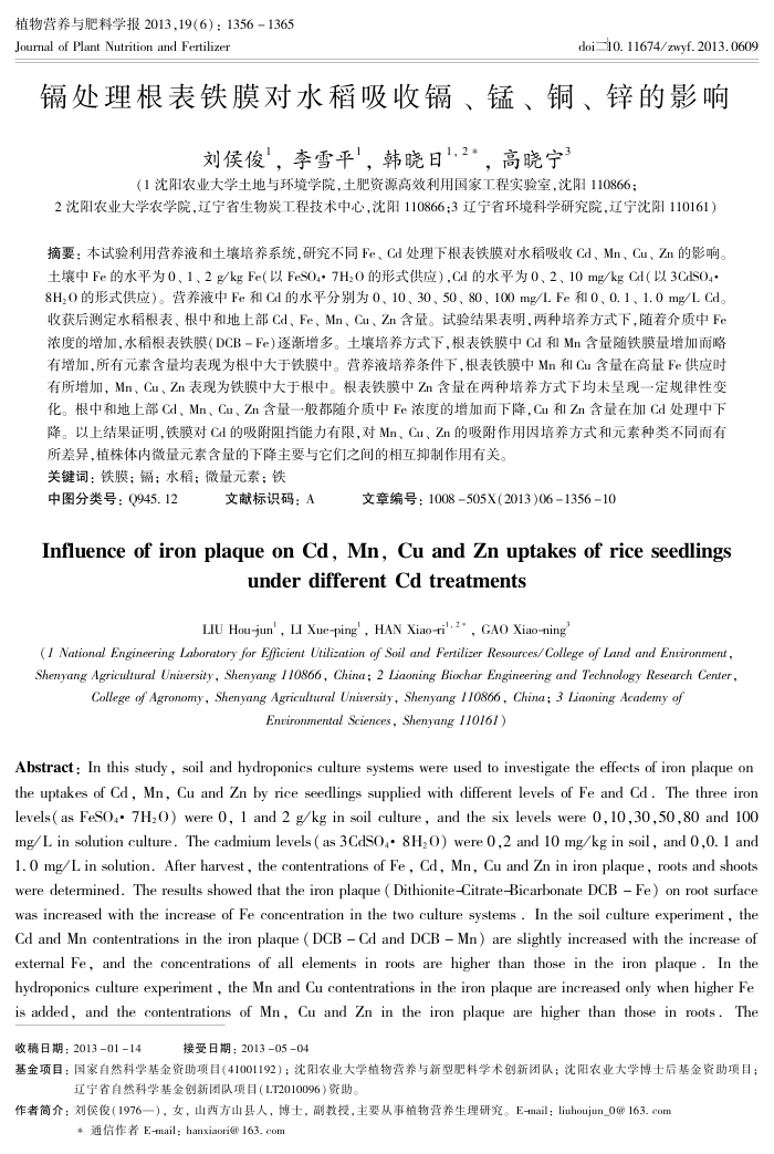 镉处理根表铁膜对水稻吸收镉、锰、铜、锌的影响