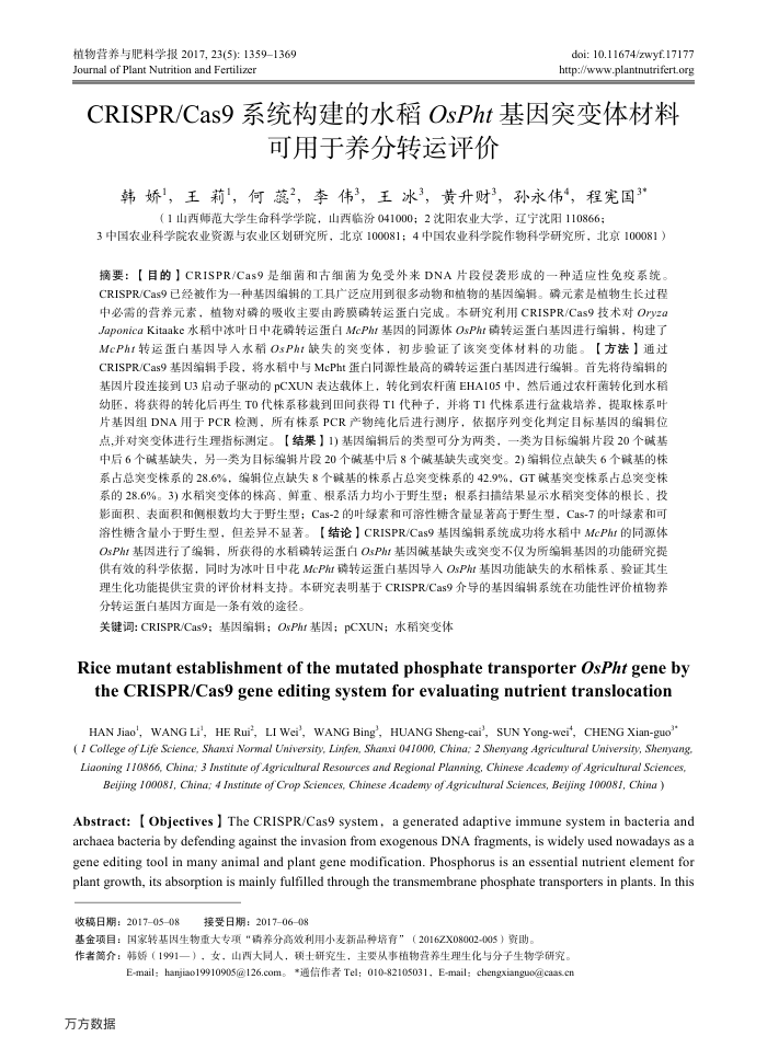 CRISPR∕Cas9系统构建的水稻OsPht基因突变体材料可用于养分转运评价