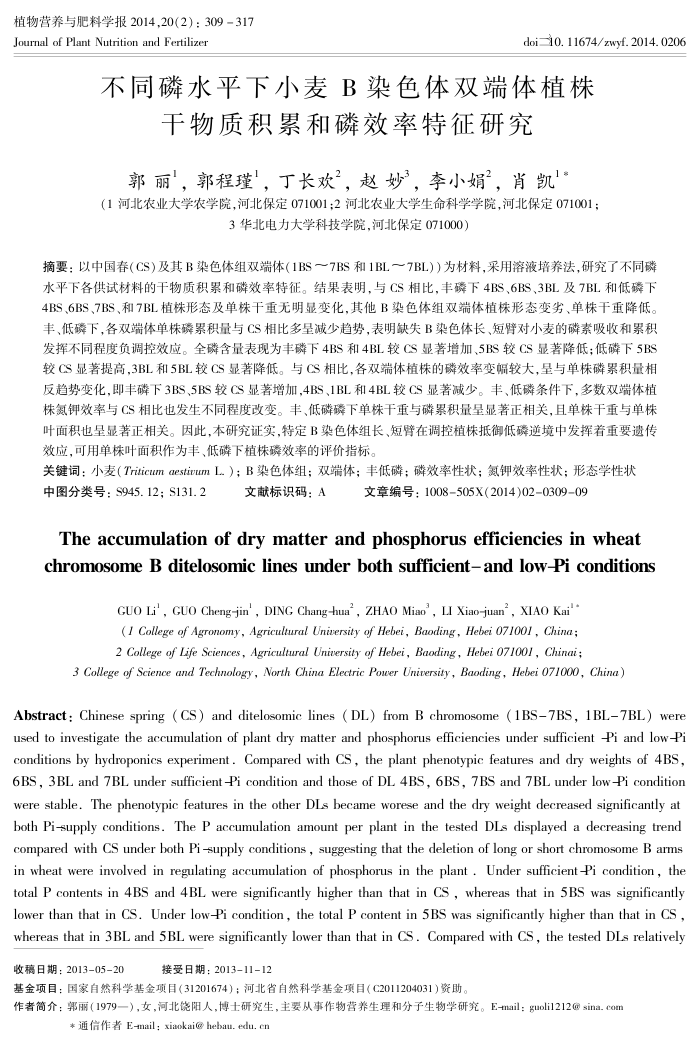 不同磷水平下小麦B染色体双端体植株干物质积累和磷效率特征研究
