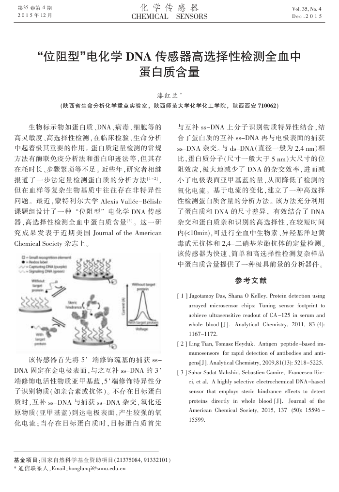 “位阻型”电化学DNA传感器高选择性检测全血中蛋白质含量