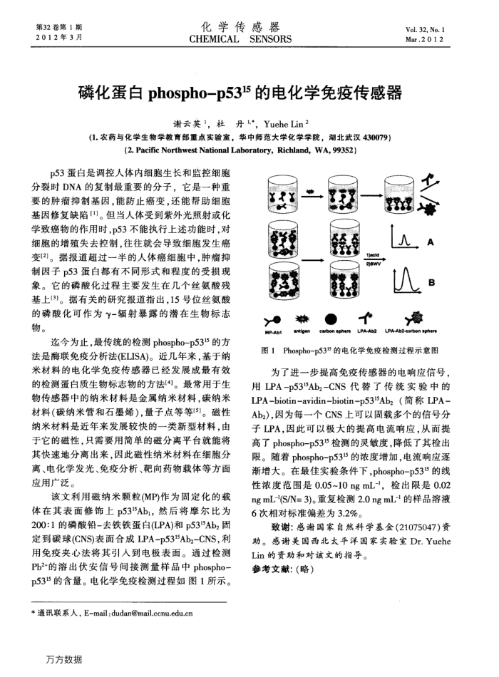 磷化蛋白phospho—p5315的电化学免疫传感器