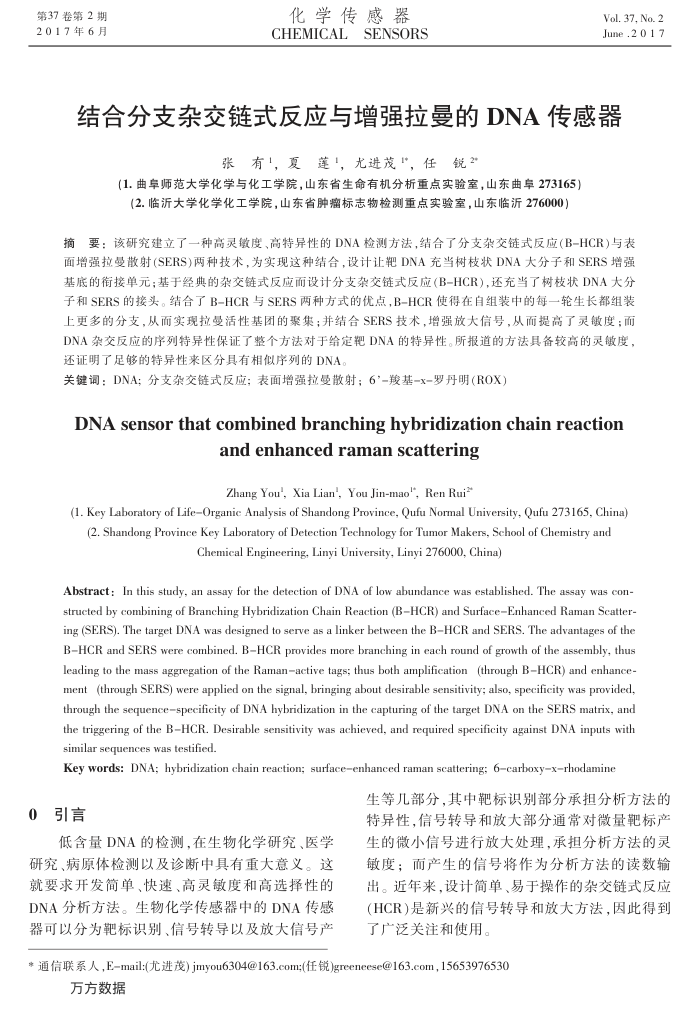 结合分支杂交链式反应与增强拉曼的DNA传感器