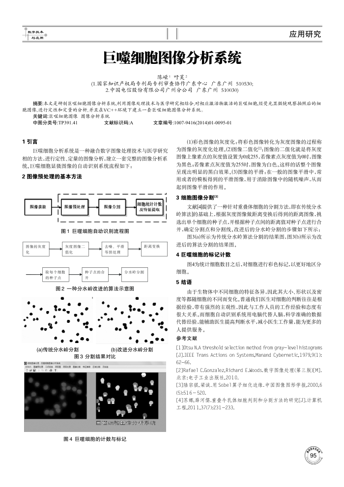 巨噬细胞图像分析系统