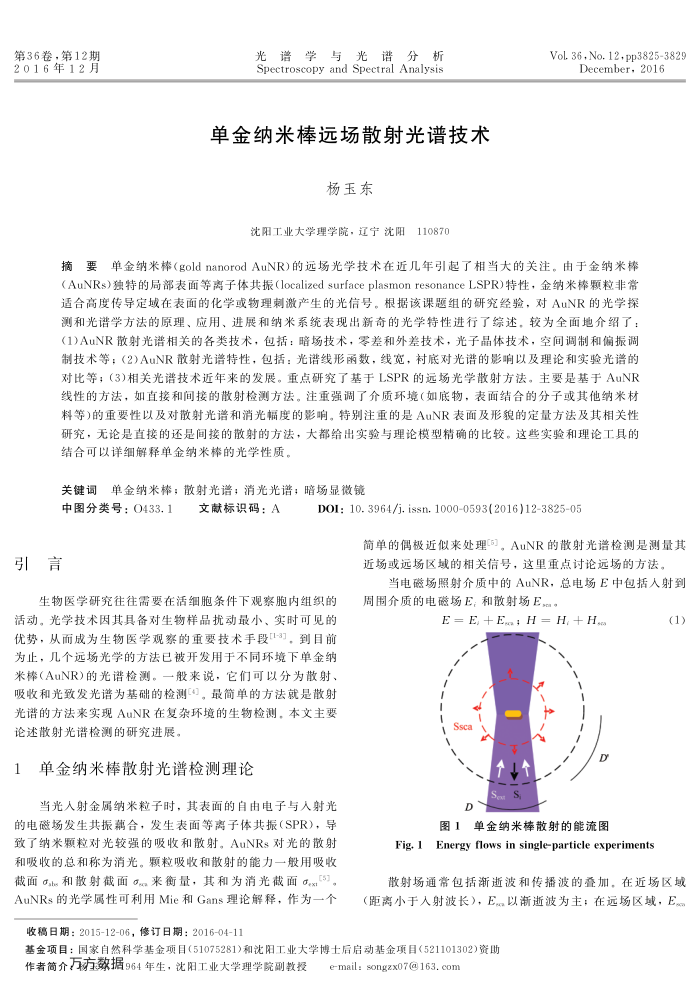 单金纳米棒远场散射光谱技术