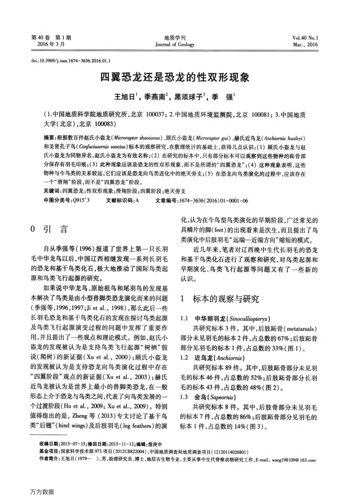四翼恐龙还是恐龙的性双形现象