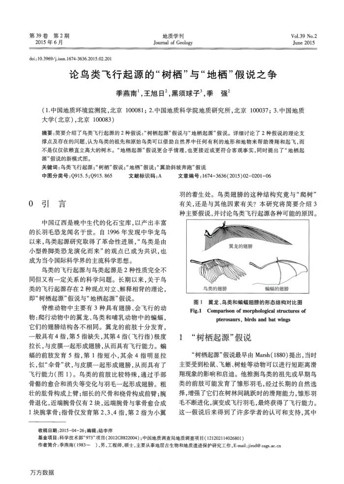 论鸟类飞行起源的“树栖”与“地栖”假说之争
