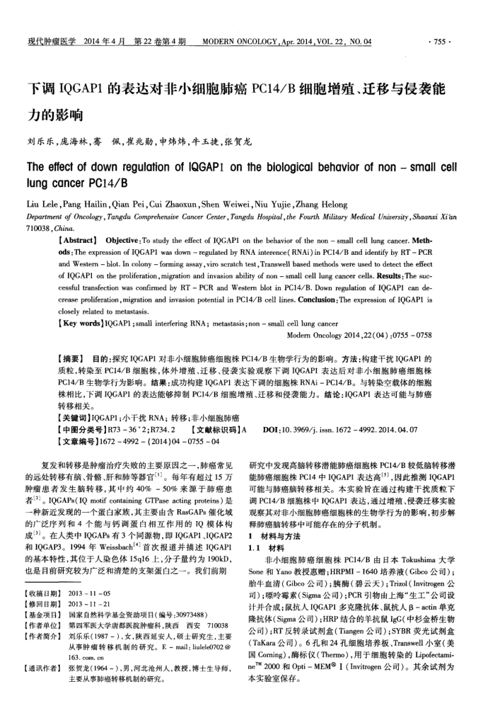 下调IQGAP1的表达对非小细胞肺癌PC14/B细胞增殖、迁移与侵袭能力的影响