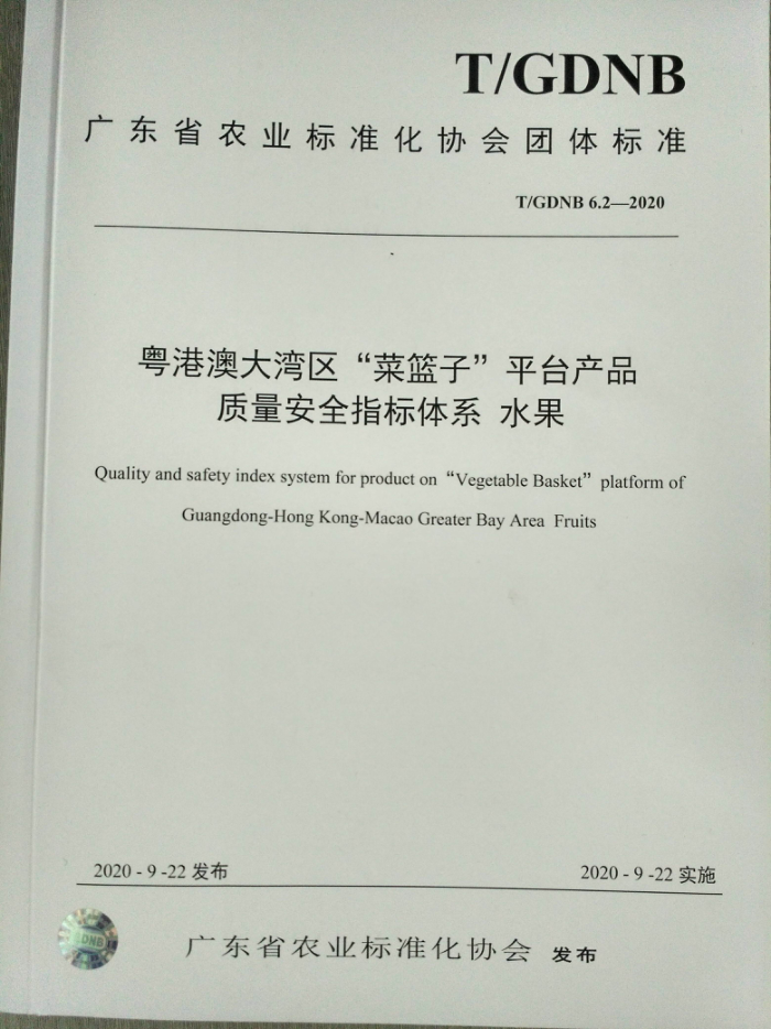 T/GDNB 6.2-2020 粤港澳大湾区