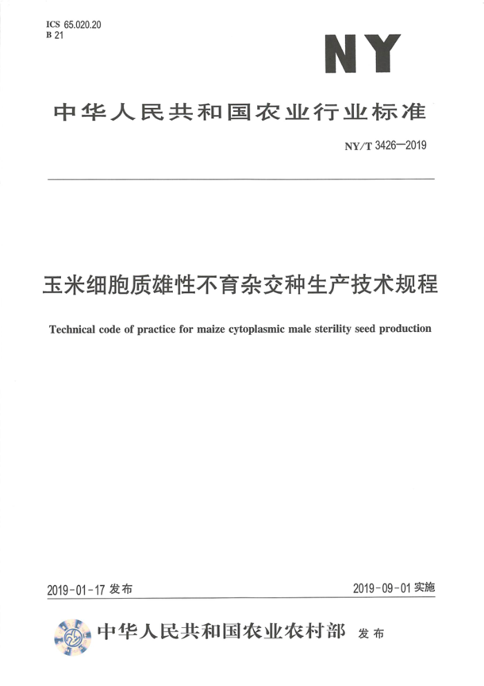 NY/T 3426-2019 玉米细胞质雄性不育杂交种生产技术规程